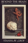 BEYOND THE BRAIN : Birth, Death & Transcendence In Psychotherapy